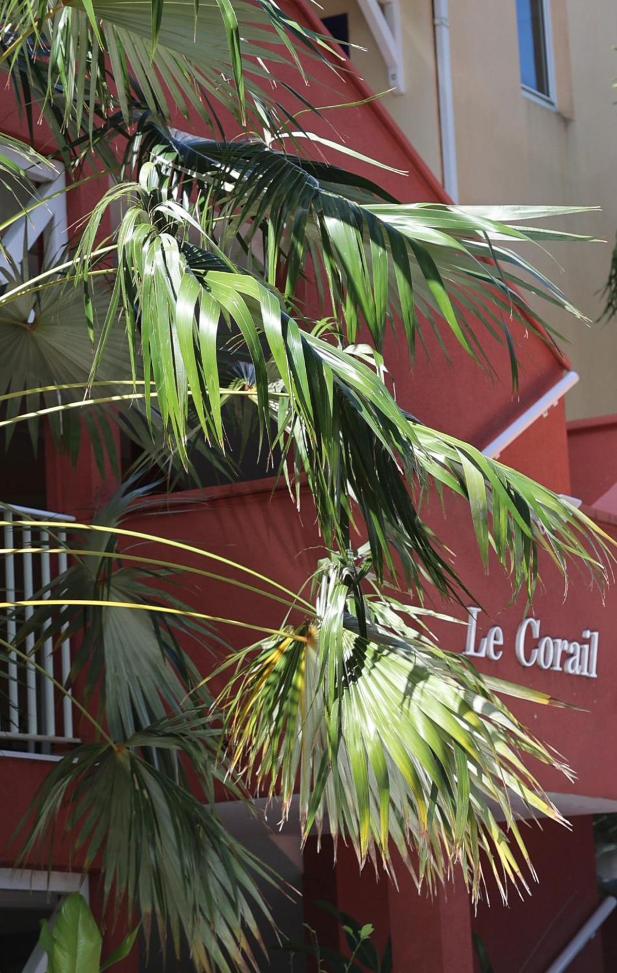 Ferienwohnung Le Coco Le Gosier  Exterior foto